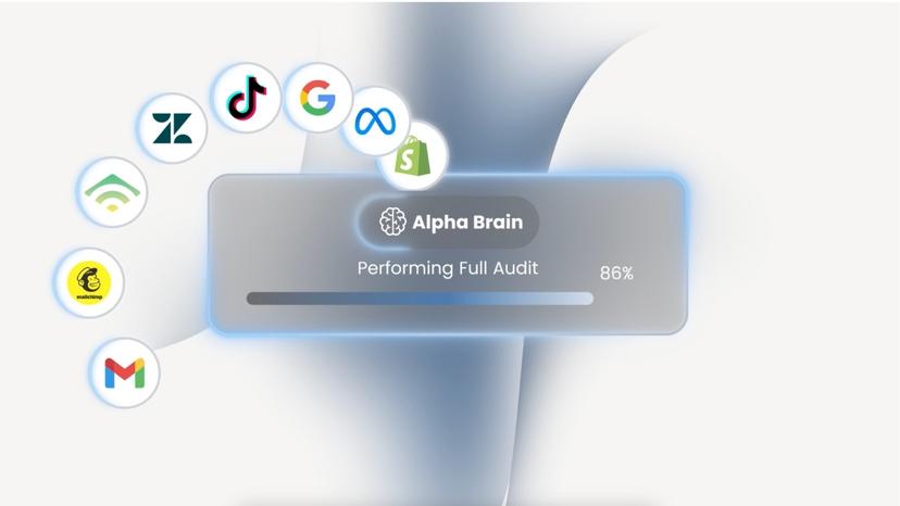 Revenue recovery audit — AlphaWeb finds and fixes revenue leaks automatically