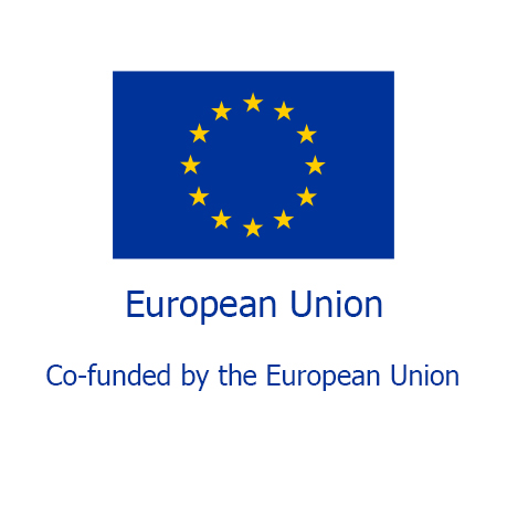 Co-funded by the European Union